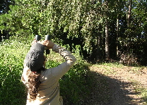 Observa��o de fauna