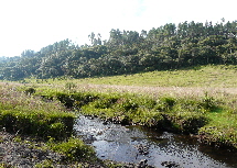 Paisagem dos Campos de Cima da Serra