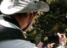 Invent�rio de fauna